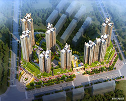 ��̶�|������
