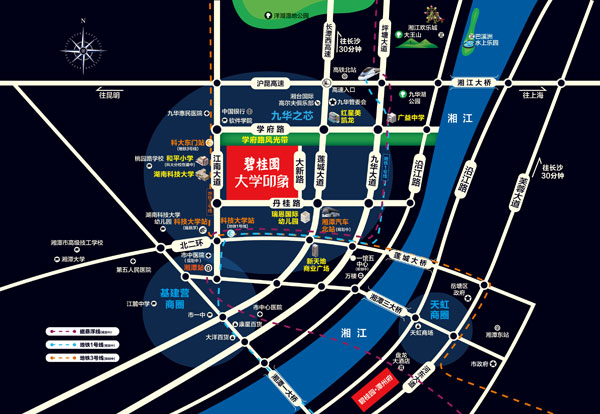 碧桂園·大學(xué)印象位置圖