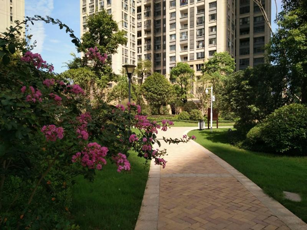 長房·上層國際實(shí)景圖