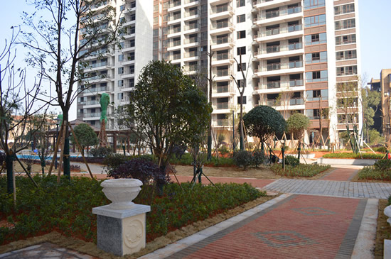 江麓·夏荷苑實(shí)景圖