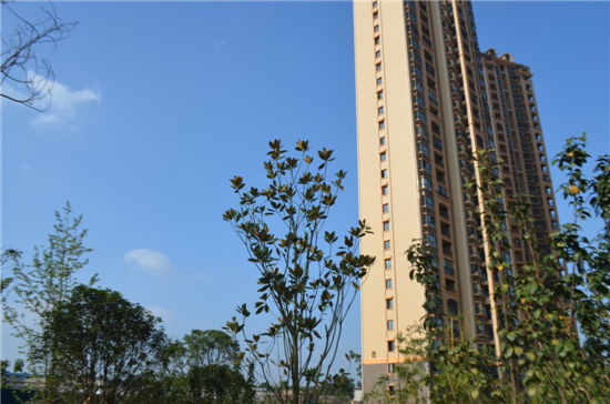 旺城天譽(yù)實(shí)景圖