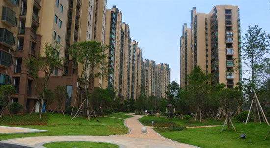 中央一品實(shí)景圖